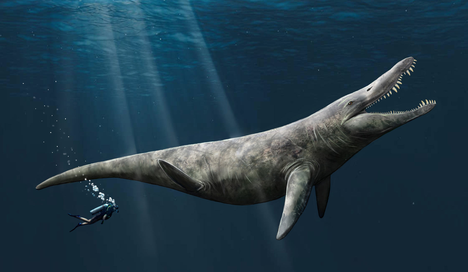Giant Pliosaur Skull Found on U.K.’s Jurassic Coast