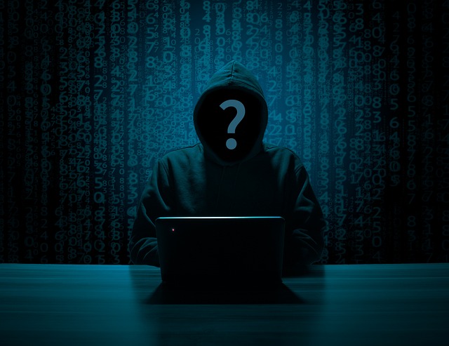 Four Arrested in Major European Cybercrime Sting