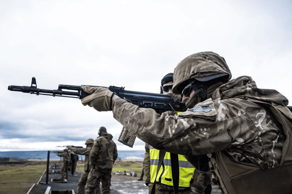 В преддверии поставок нового военного вооружения НАТО обучает украинских военных (Видео) — NewsRoomIn