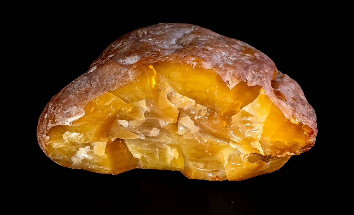 Baltic amber