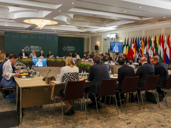 EU Foreign Ministers in Ireland: Clashes Erupt Over EEAS and Kaja Kallas — NewsRoomIn